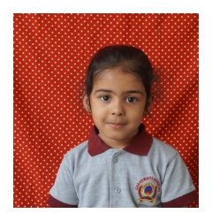 Photo Gallery