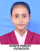 Photo Gallery
