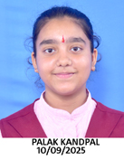 Photo Gallery