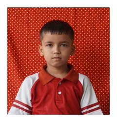 Photo Gallery