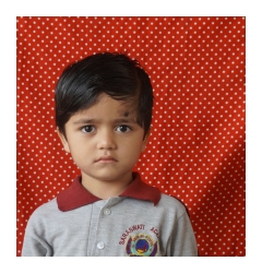 Photo Gallery