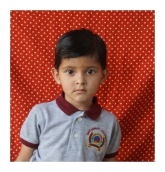Photo Gallery