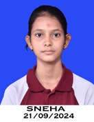 Photo Gallery