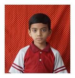 Photo Gallery