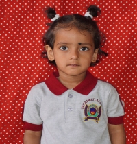 Photo Gallery