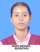 Photo Gallery